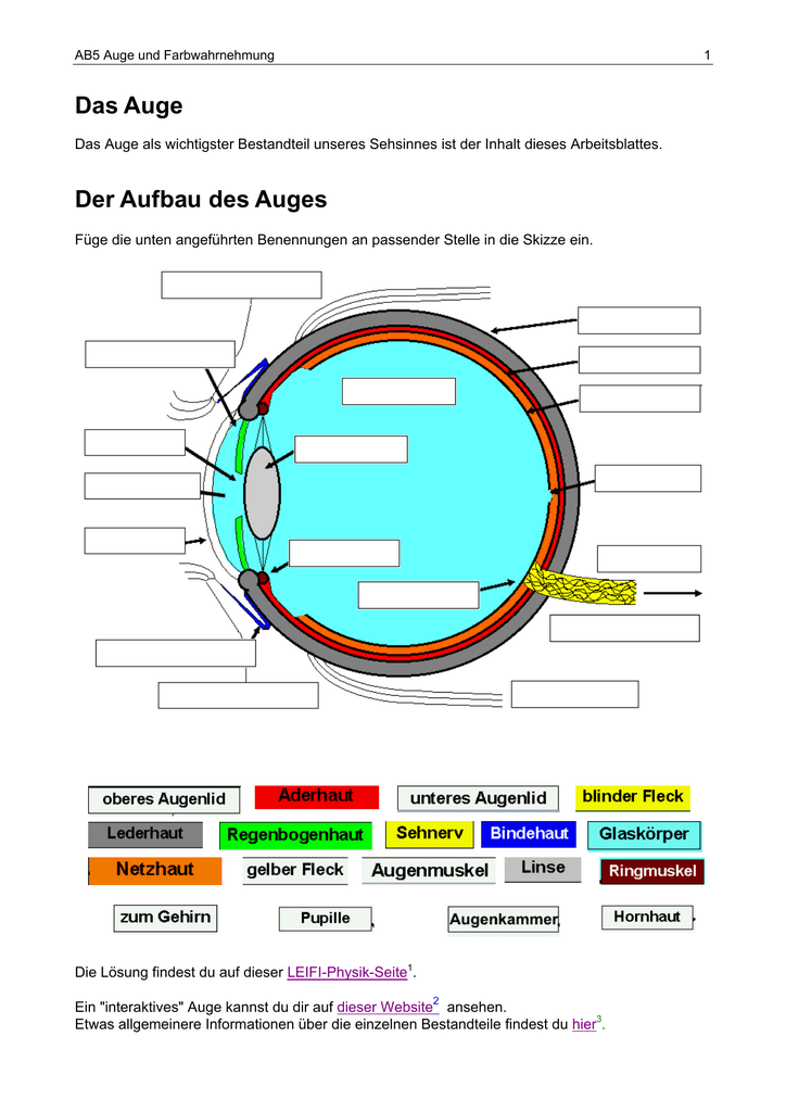 das auge klasse 7