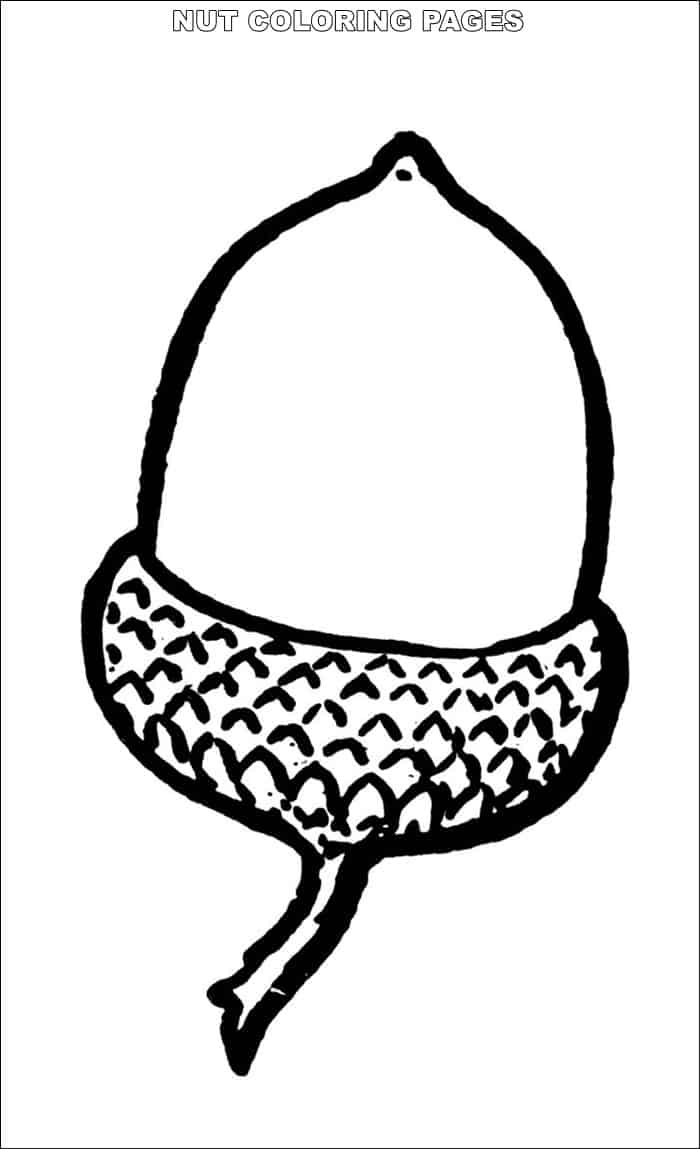 nuts coloring page