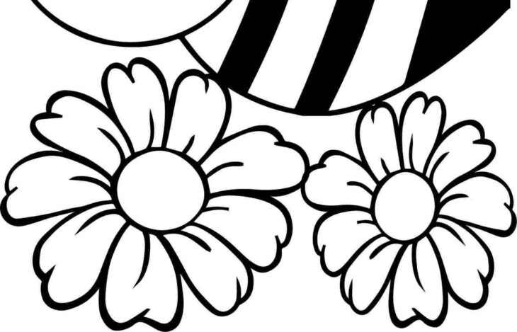 Bee Coloring Pages Bee Coloring Pages