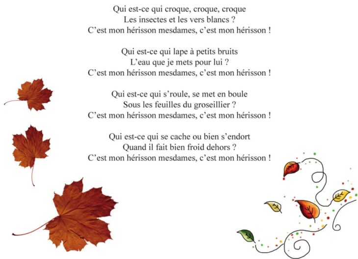 Paroles C Est L Automne Les Patapons Automne Comptines Chansons Pluie Gouttelettes Gouttes