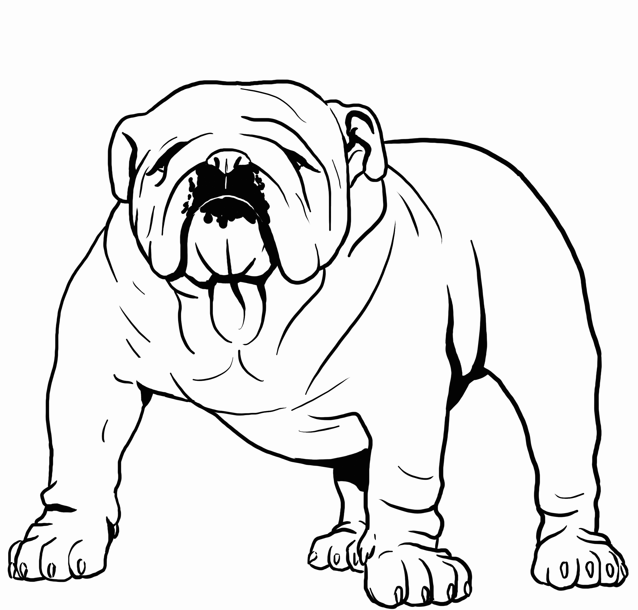 coloring pages bulldog