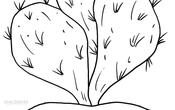 free printable coloring pages cactus