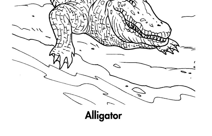 Crocodile Coloring Page Crocodile And Alligator Coloring Pages – Printable Coloring Pages