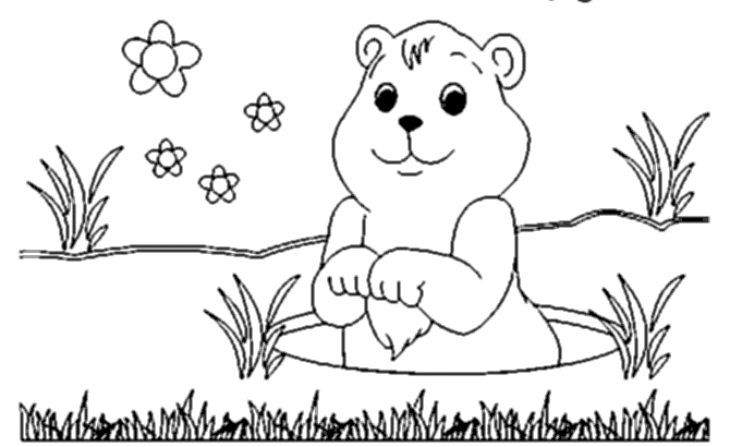 Groundhog Coloring Page Groundhog Phil Punxsutawney Makeitgrateful