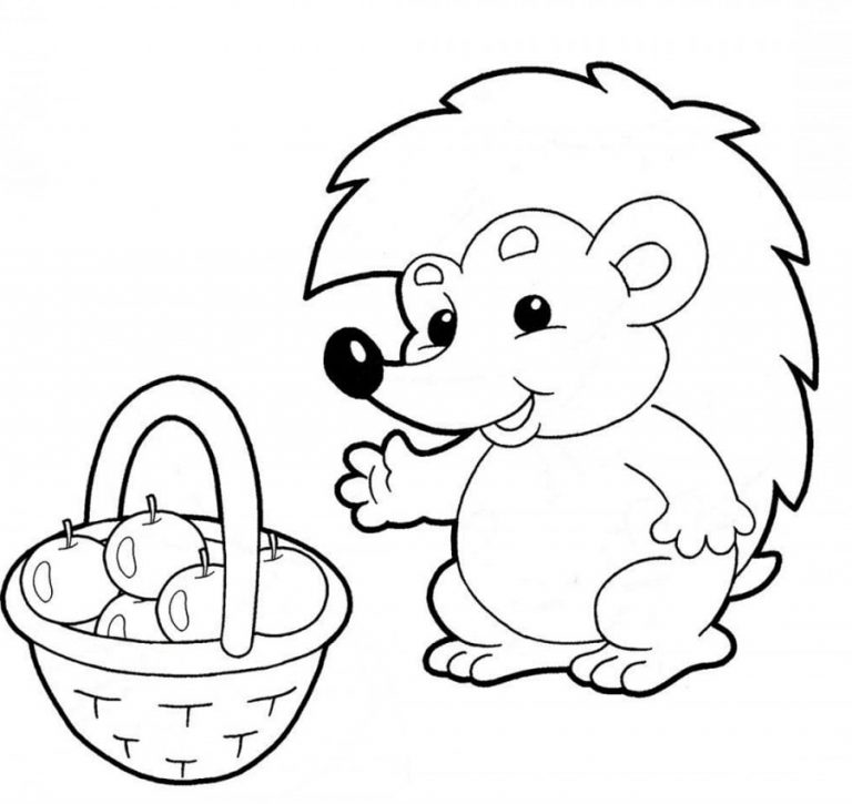 coloring pages of hedgehogs