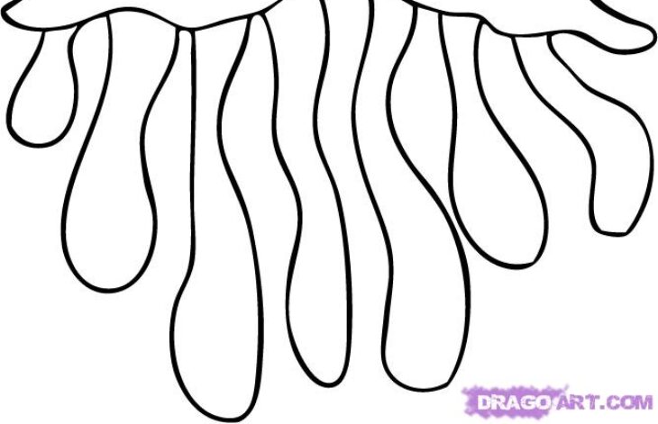 Jellyfish Coloring Page Jellyfish Coloring Page At Getcolorings.com