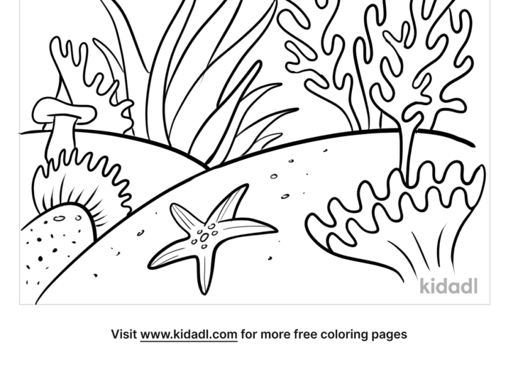 Simple Coral Reef Coloring Page Kids-n-fun.com