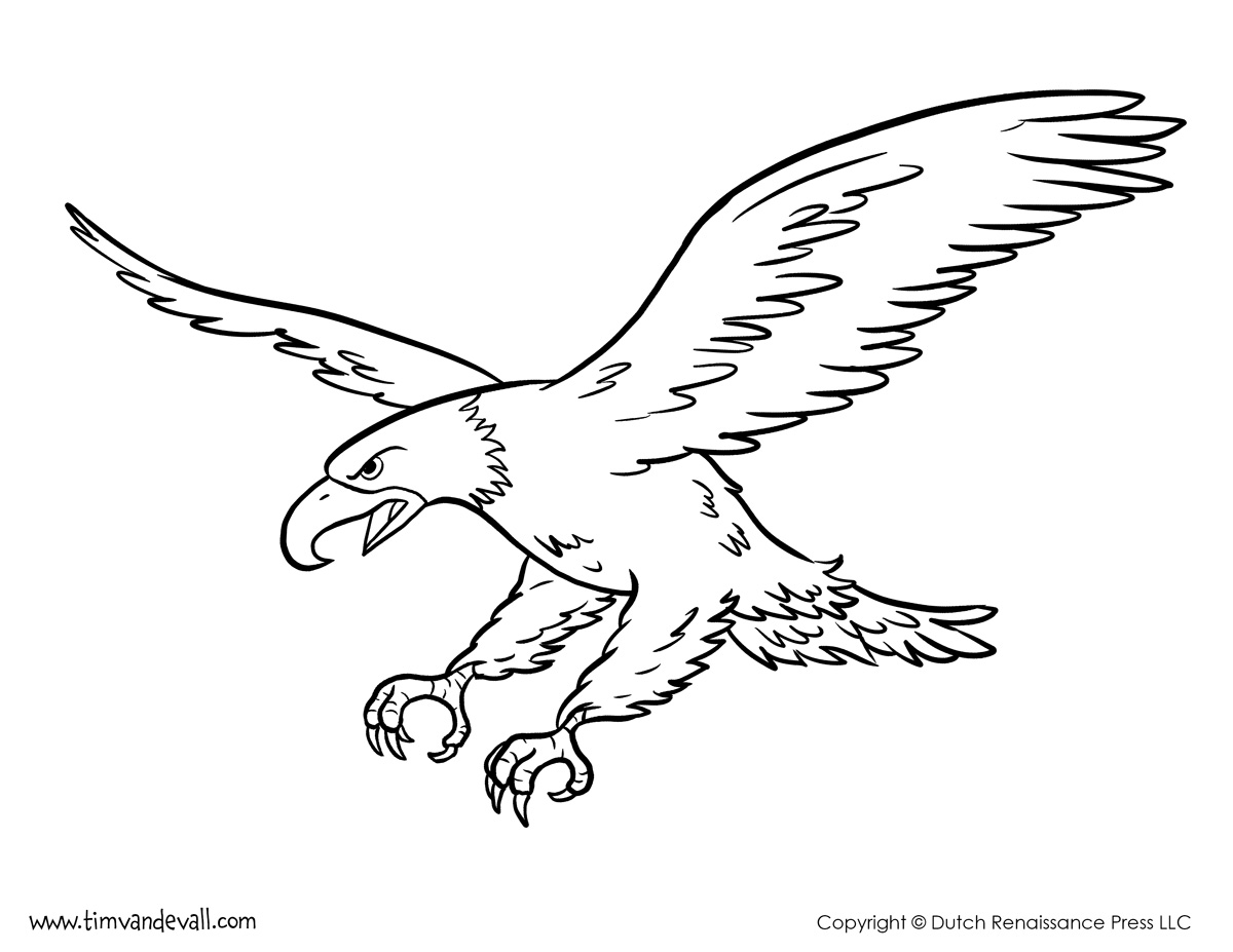 bald eagle coloring page