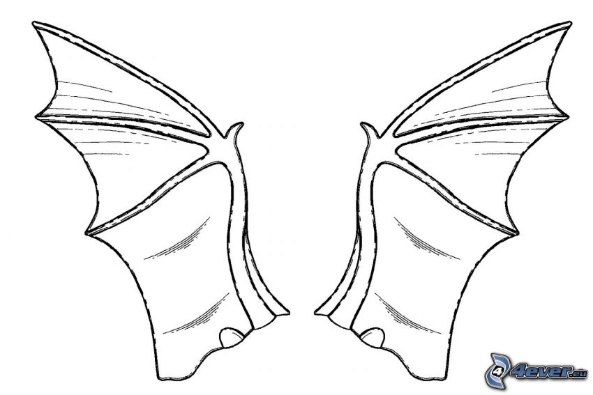 bat wings coloring page