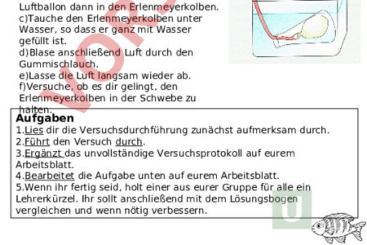 Wie Funktioniert Die Schwimmblase Bei Fischen Funktion Fische Beschreibung Hydrostatische