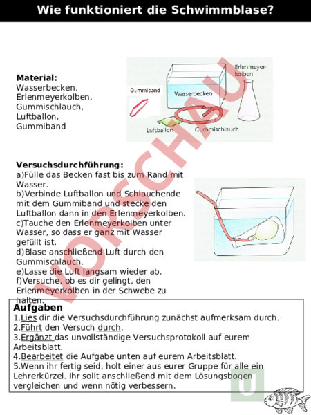 wie funktioniert die schwimmblase bei fischen