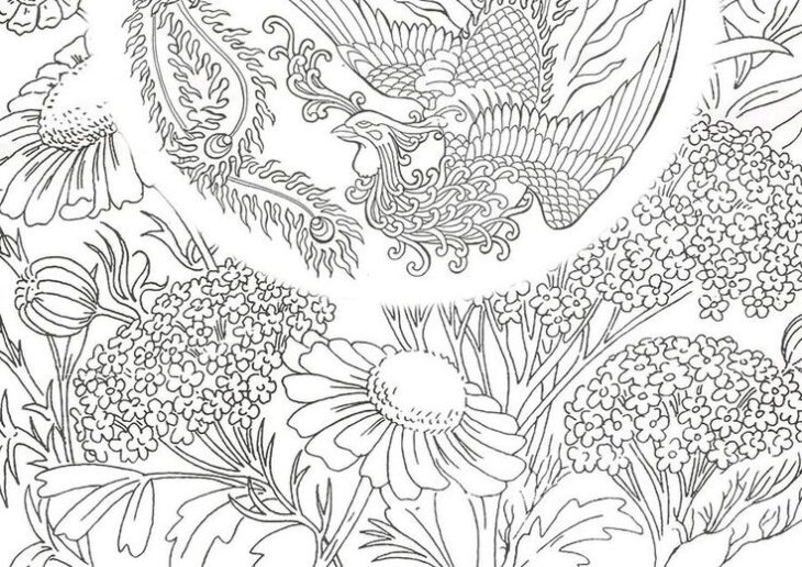 Phoenix Coloring Pages For Adults Phoenix Coloring Pages For Adults At Getcolorings.com