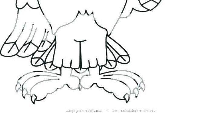 Harpy Eagle Coloring Page Harpy Eagle Coloring Page At Getcolorings.com