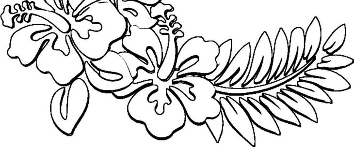 Hawaii Coloring Pages Free Hawaii Hawaiian Colorare Disegni Hawaje Ausmalbilder Bellissime Hawaiani Piękne Drukuj Bambini