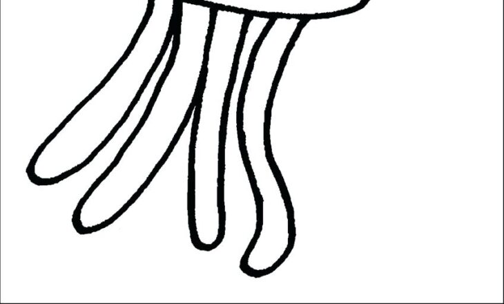 Jellyfish Coloring Pages Printable Jellyfish Drawing Color At Getdrawings