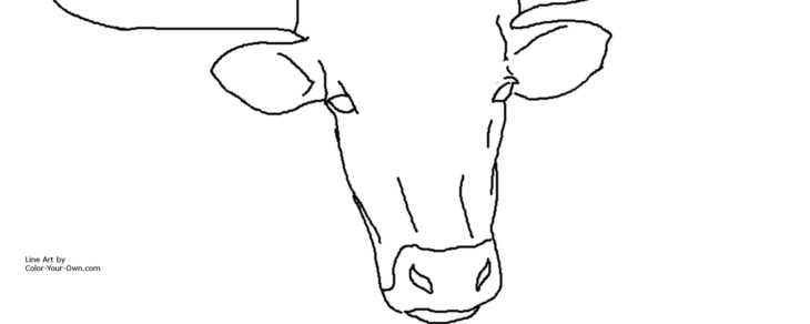 Longhorn Coloring Pages Texas Longhorn Coloring Page