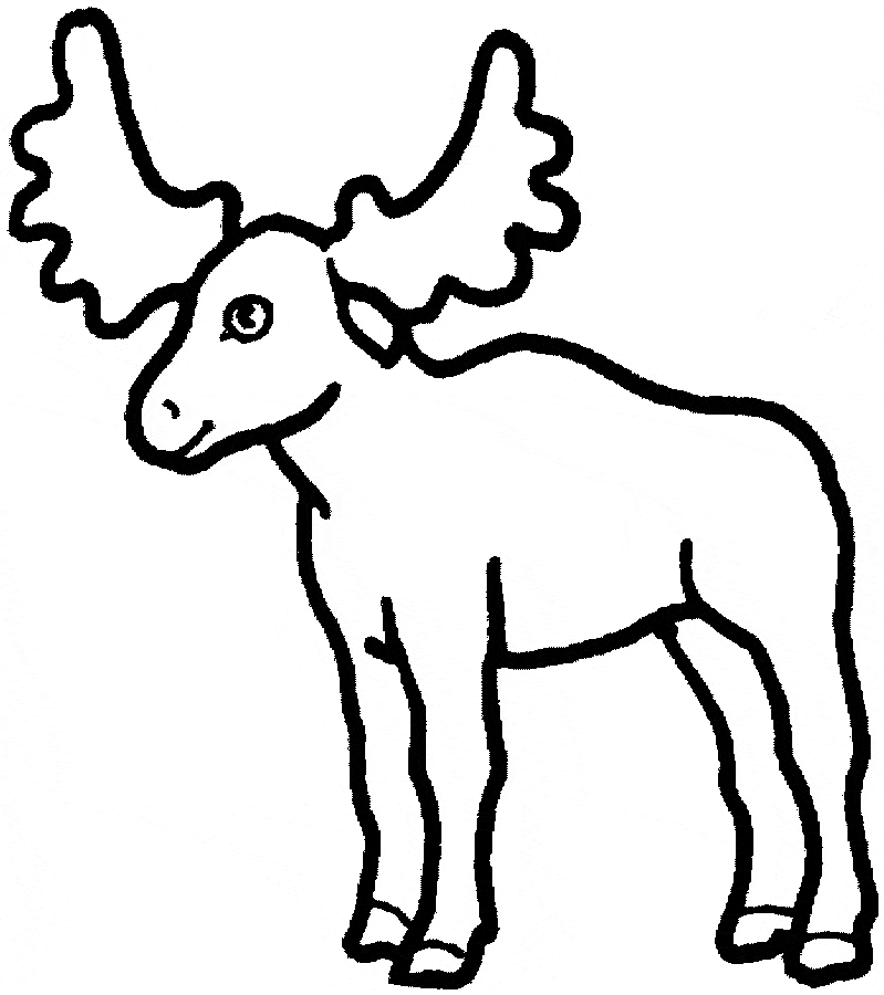 coloring page moose