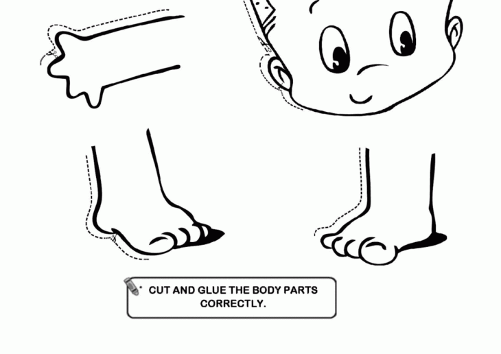 Body Parts Coloring Pages For Preschool Pdf Coloring Body Parts Pages Kids Popular