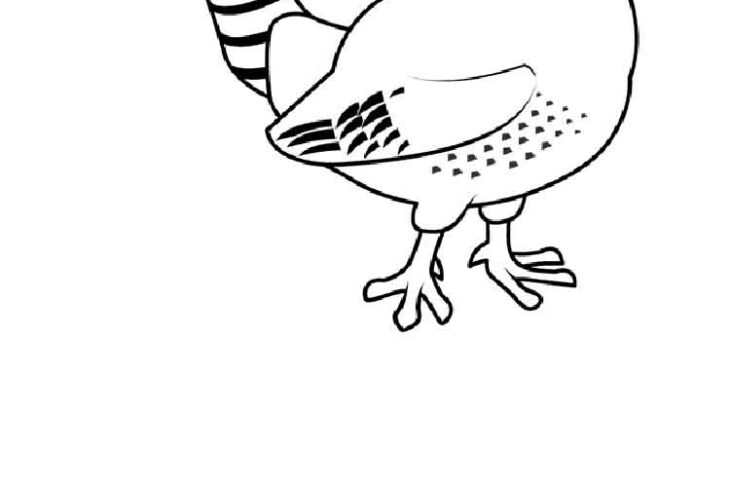 Pheasant Coloring Page Pheasant Coloring Pages Color Animals Adult Sheet Animal Printable Farm Ring Print Necked Sheets Google Easy Bird Kids Colouring Gif