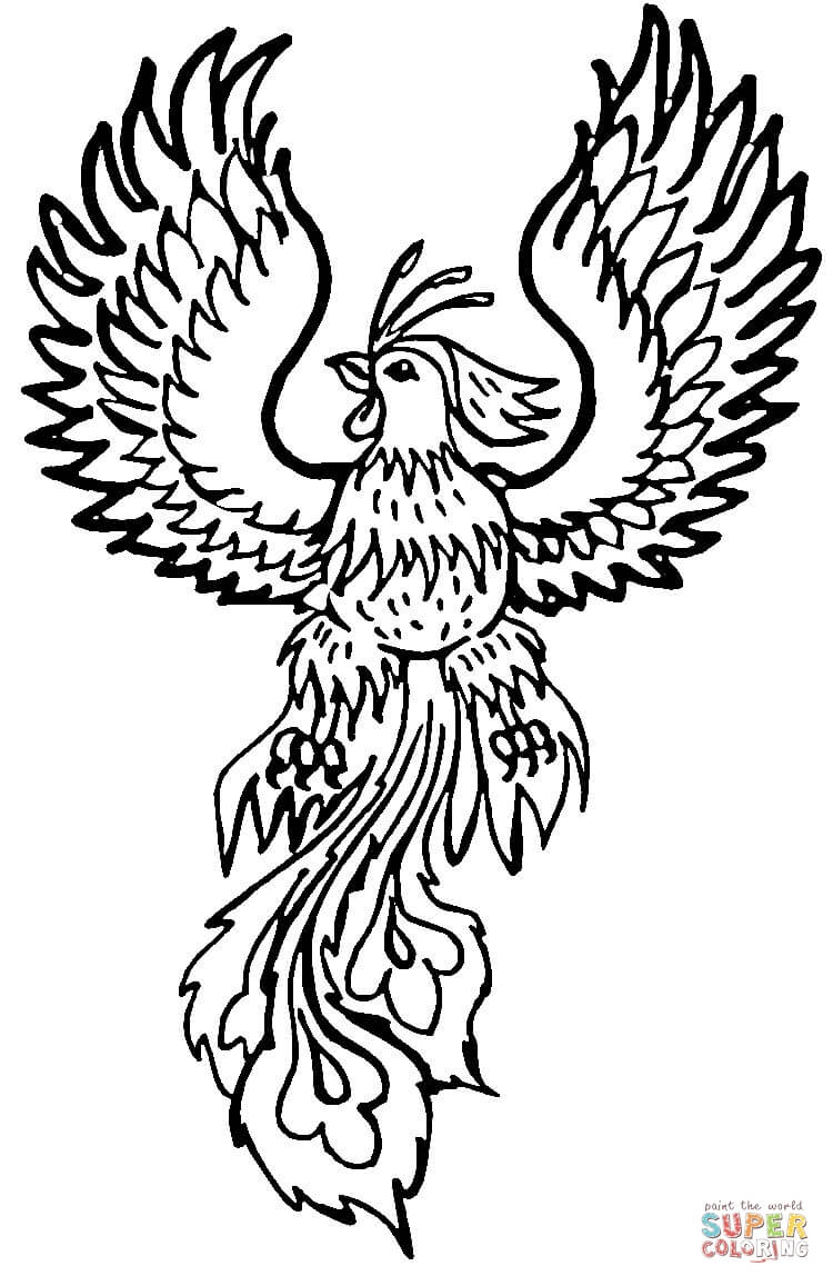 coloring pages phoenix