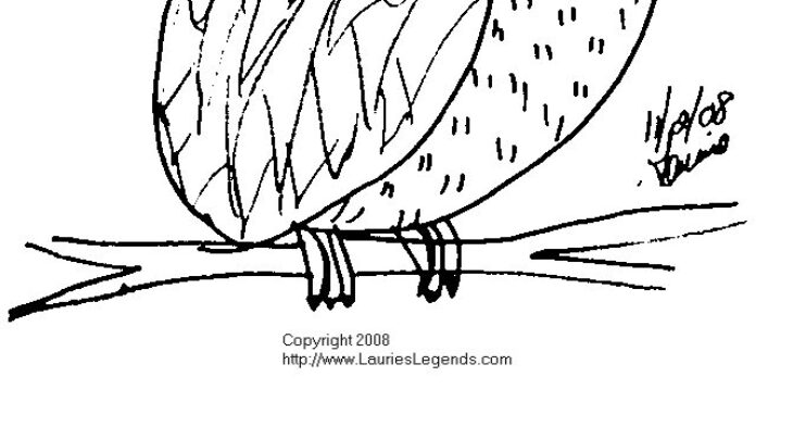 Snowy Owl Coloring Pages Winter Owl Coloring Page