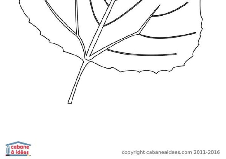 feuilles derablea colorier