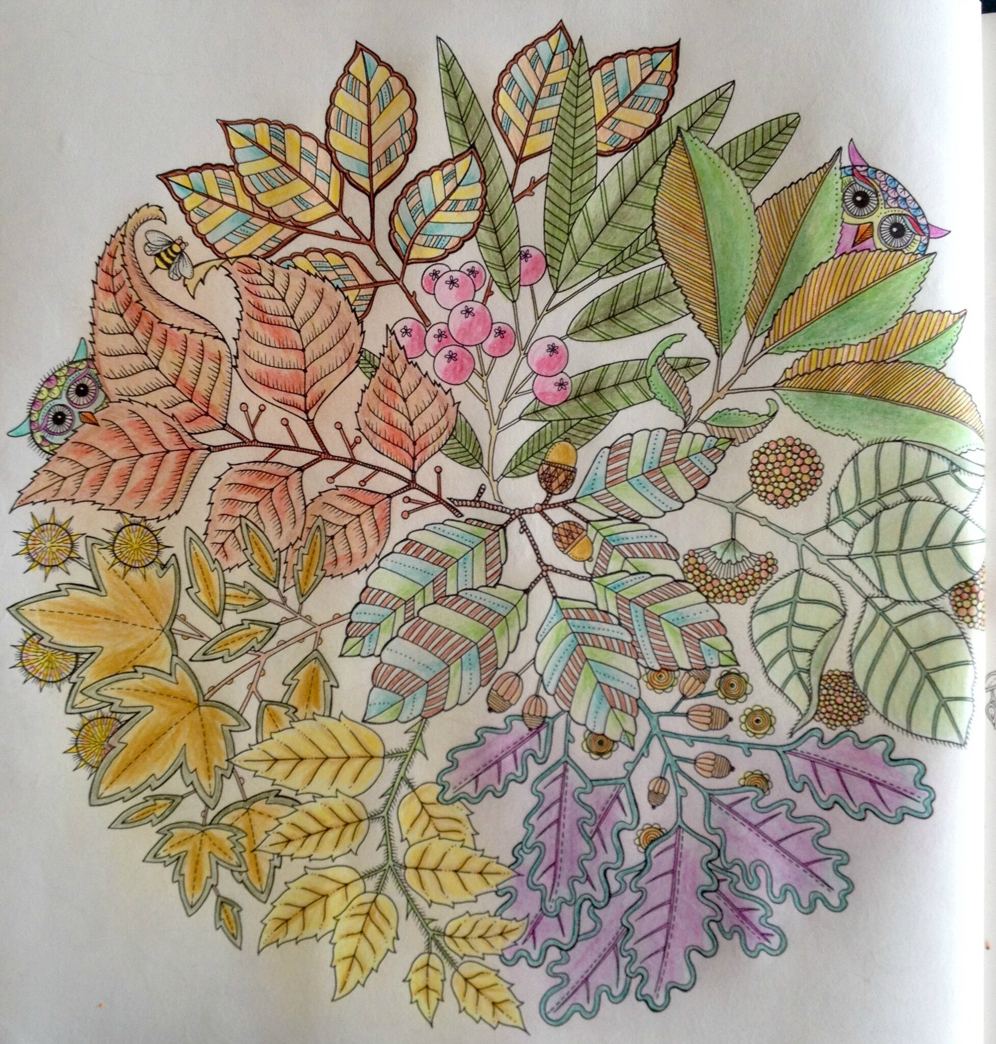 coloriage mandala jardin
