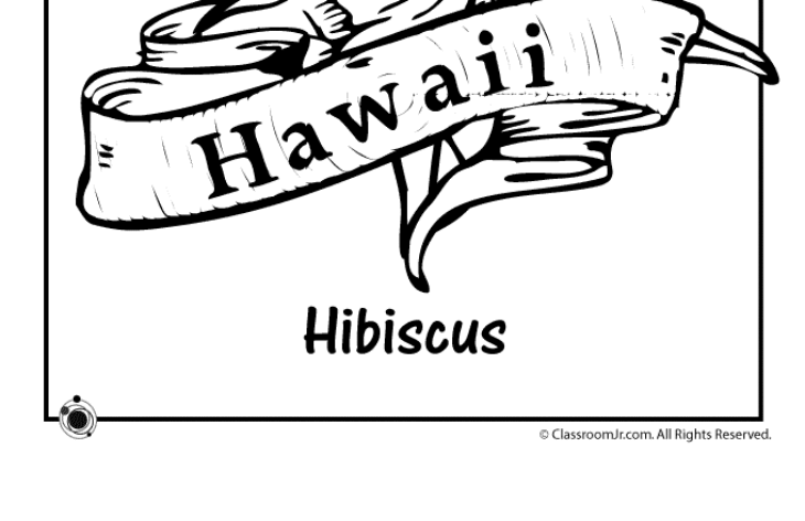 printable hawaiian coloring pages