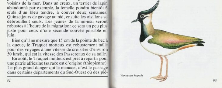 ltoile du mer desnos ecrire