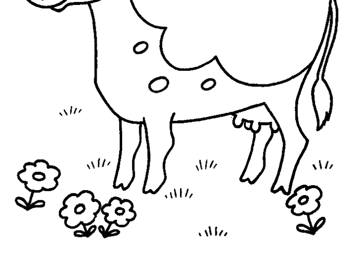 free cow coloring page free cow coloring page