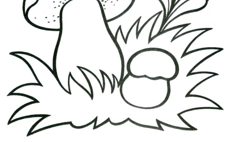 free mushroom coloring pages free mushroom coloring pages