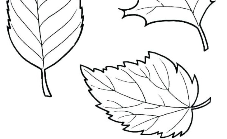 fall leaves coloring pages printable