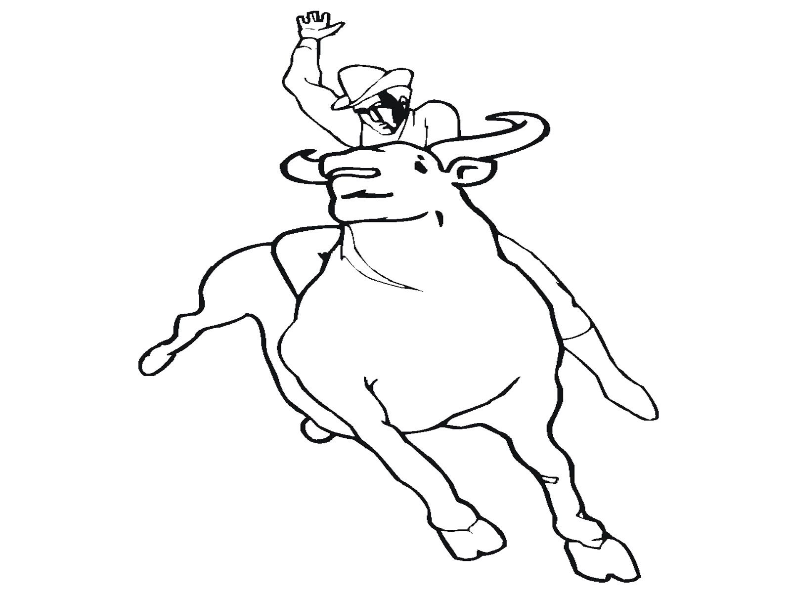 bull coloring pages