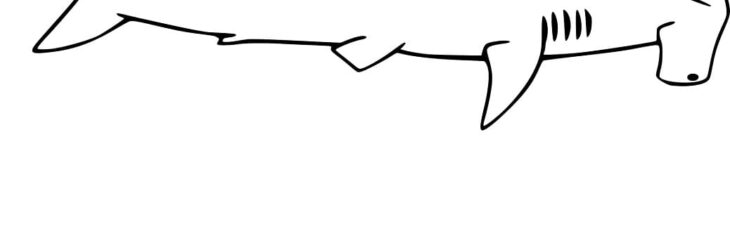 view xcolorings images