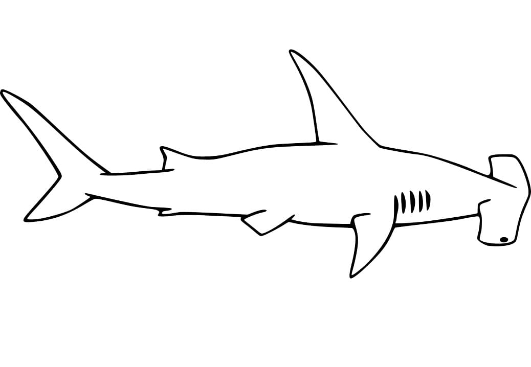 view xcolorings images
