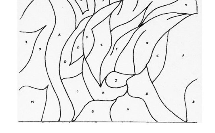 coloriage magique fractions 6eme