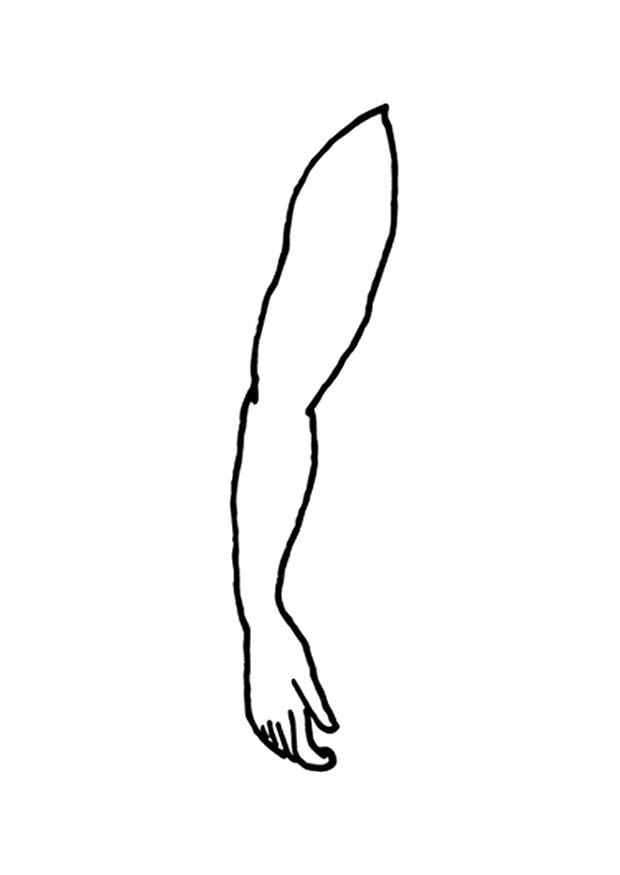 arm coloring page