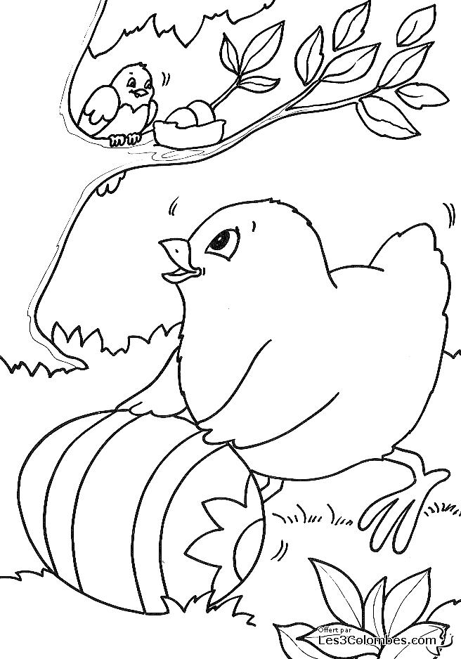 modele poules drole paques coloriage