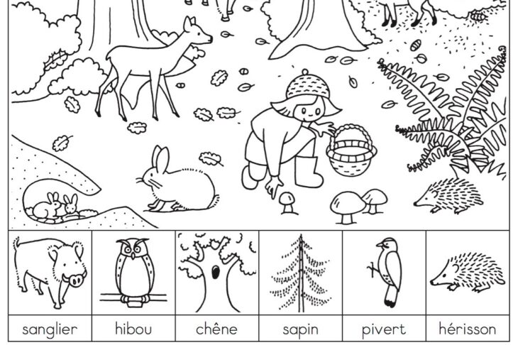 exercice de coloriage tro tro beaux cli mas