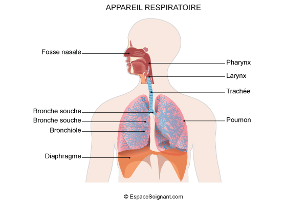 schacma appareil respiratoire vierge