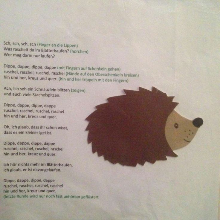fingerspiel igel kindergarten