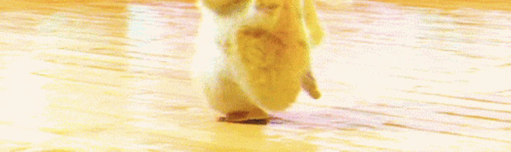 17 pokemon dessin a imprimer gif