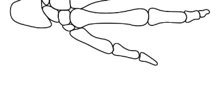 skeleton hand coloring page