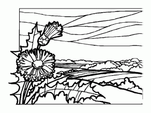 download paysage dessin a imprimer images