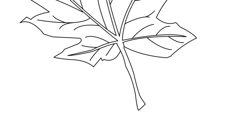erable a colorier