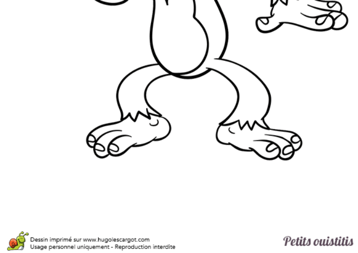 coloriage ouistiti en ligne coloriage ouistiti en ligne