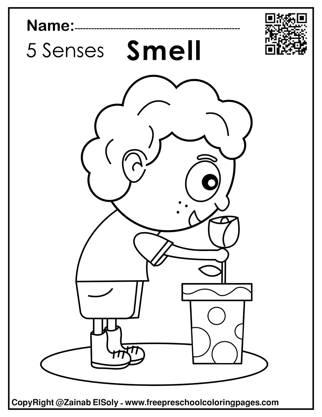 Set of 5 senses activities for kids