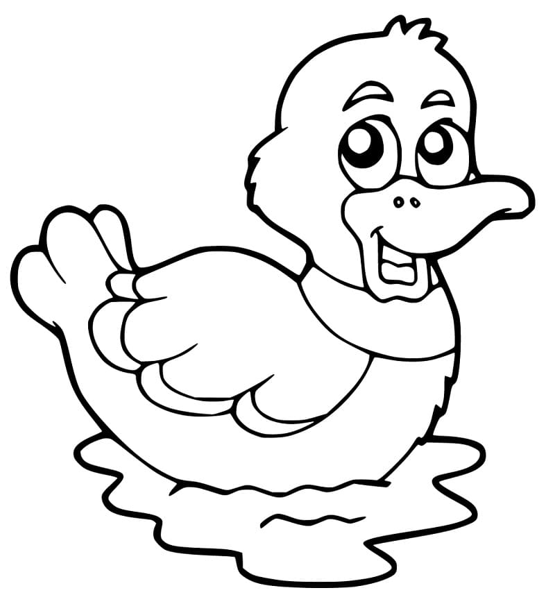 duckling coloring pages