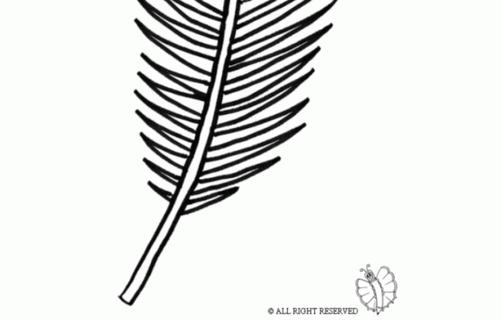 palm branch coloring page palm branch coloring page