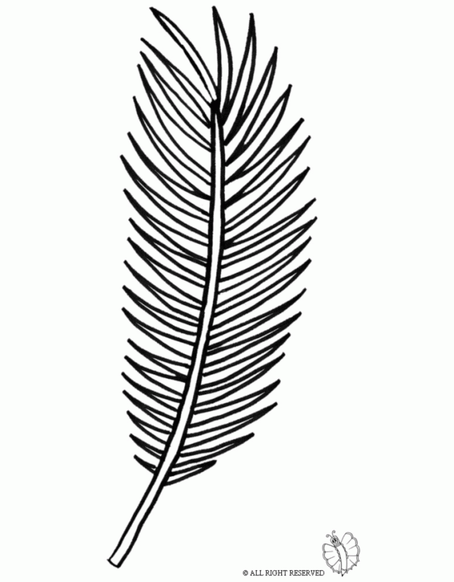 Palm Branch Coloring Page - Coloring Home